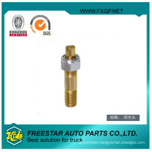 High Performance Bolt with Hex Nut